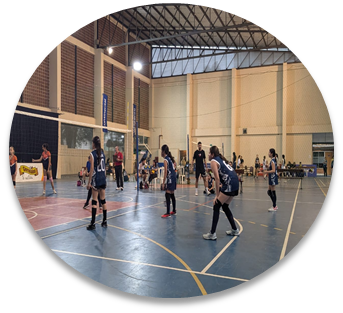 Voleibol